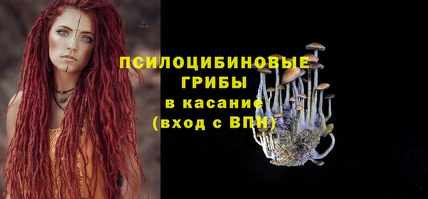 СК Медвежьегорск