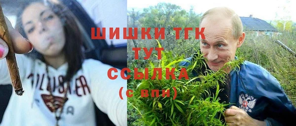 шишки Абдулино