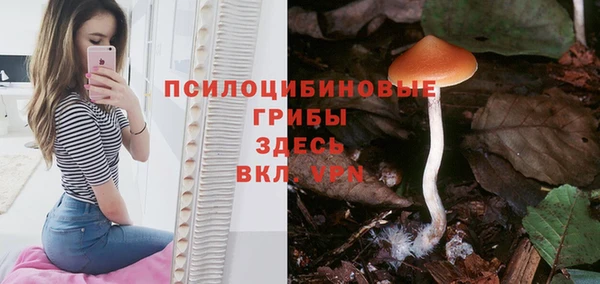 шишки Абдулино