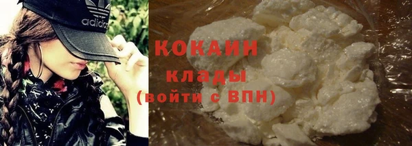 СК Медвежьегорск